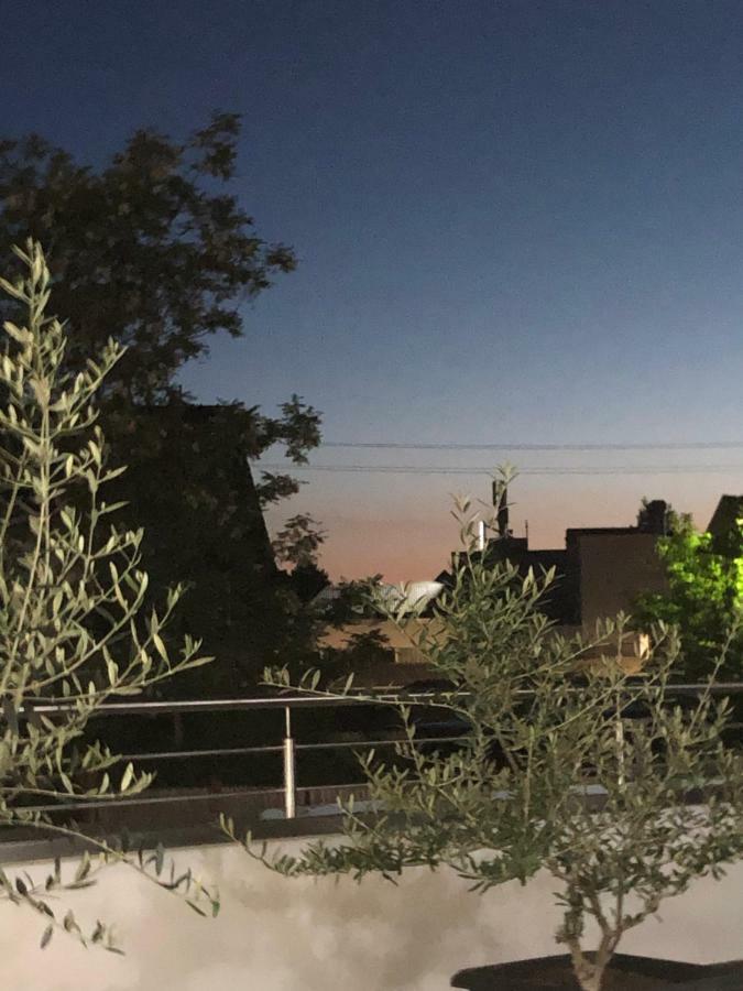 סינדלפינגן Hotel Sonnenhof מראה חיצוני תמונה